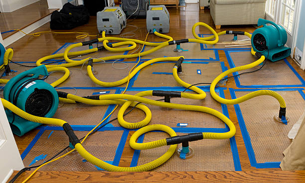 Professional Water Extraction technician working in Lafayette, MN
